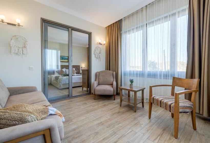 ホテル Cinarli Kasri