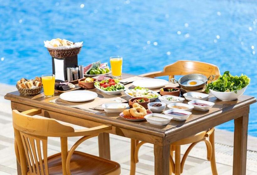 ホテル Cinarli Kasri