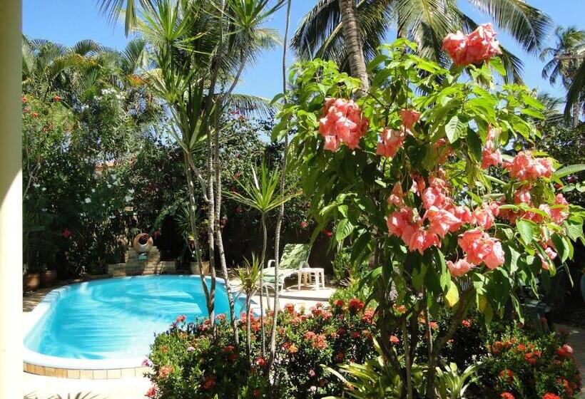 ホテル Pousada Arco Iris