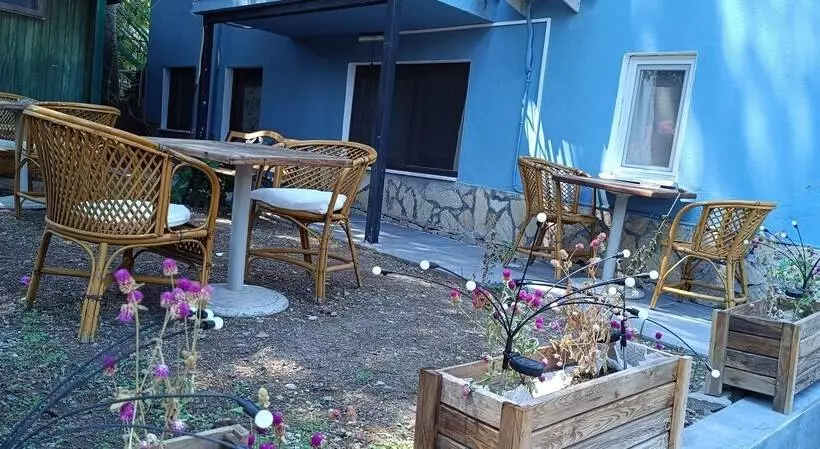 Hotel Sevgi 3