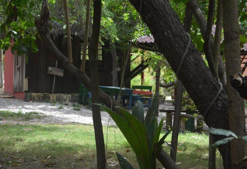 Imbassaí Pousada Hostel Lujimba