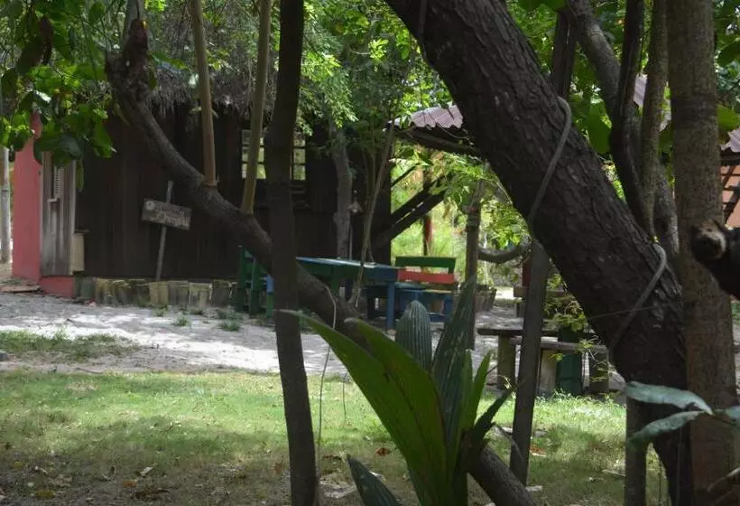 Imbassaí Pousada Hostel Lujimba