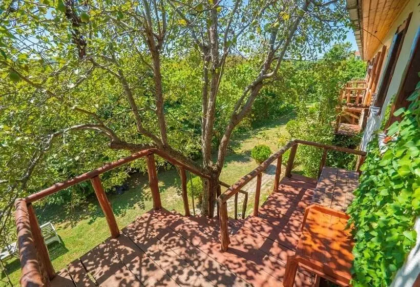 مُتل Agva Masal Evi