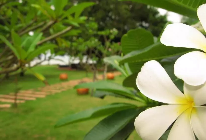 ホテル Baan Pun Sook Resort