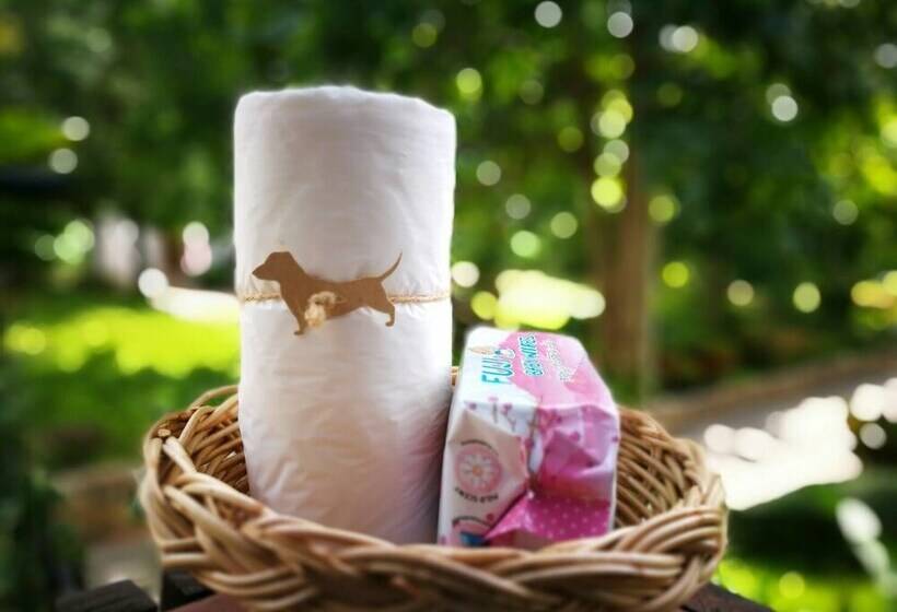 فندق Ville De La Vie