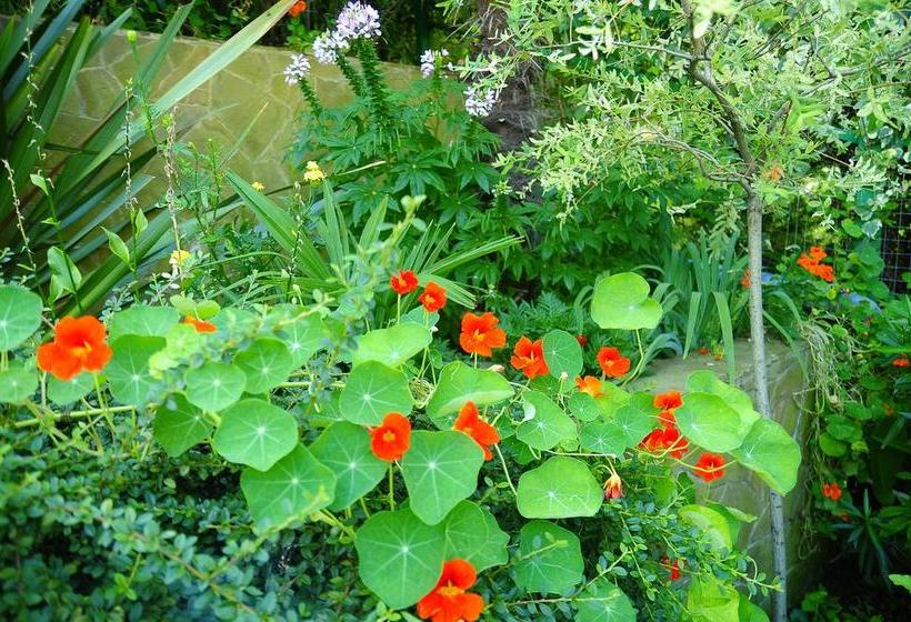 בית מלון כפרי Belvedere