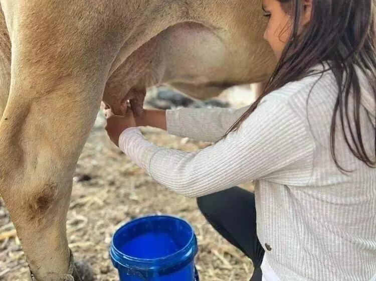 هتل H & R Ranch Resort