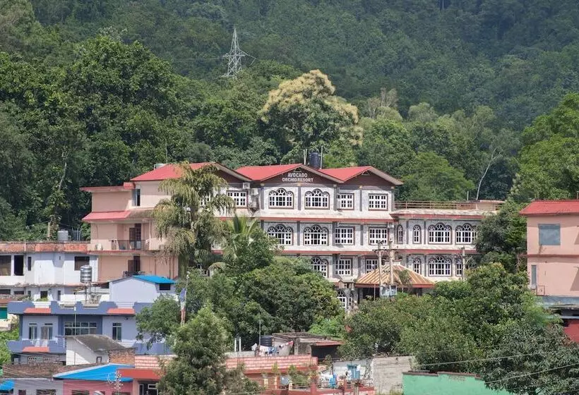 هتل Avocado And Orchid Resort
