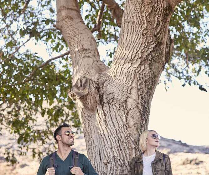 בית מלון כפרי Olive Green