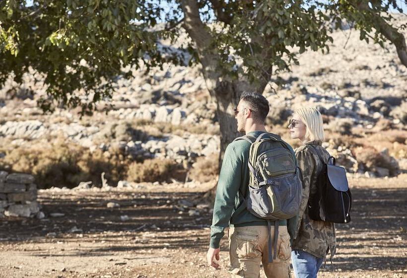 בית מלון כפרי Olive Green