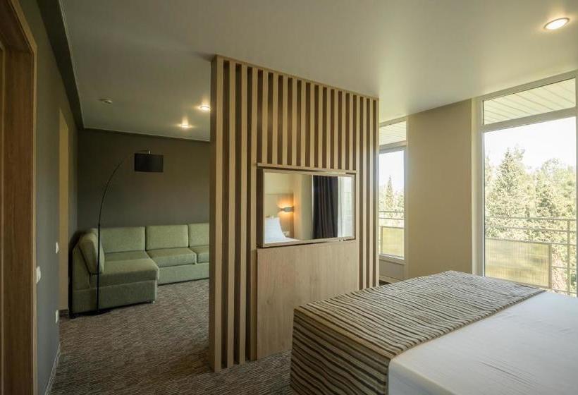 בית מלון כפרי Pansionat Burgas