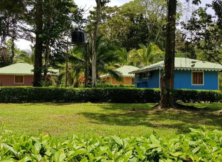 ホテル Ciudad Perdida Ecolodge