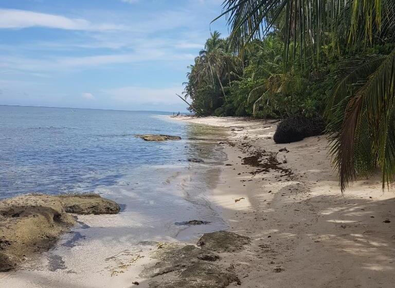ホテル Ciudad Perdida Ecolodge