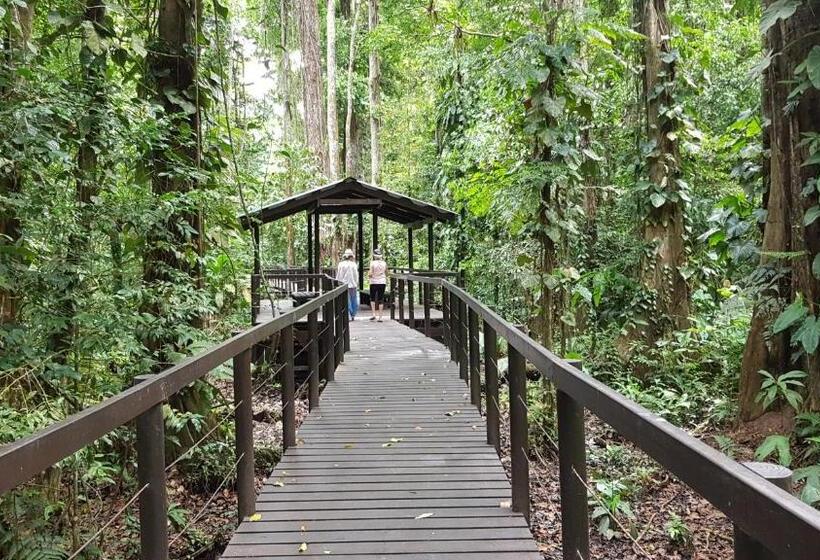 ホテル Ciudad Perdida Ecolodge