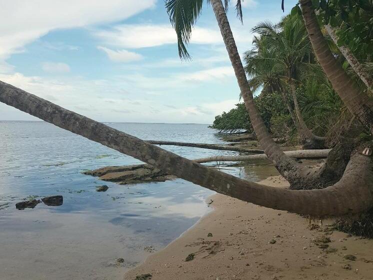 ホテル Ciudad Perdida Ecolodge