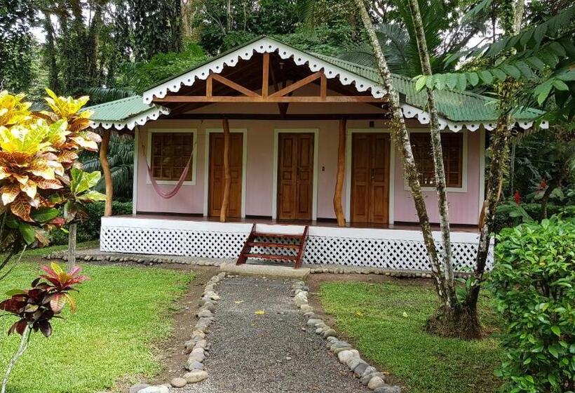 ホテル Ciudad Perdida Ecolodge