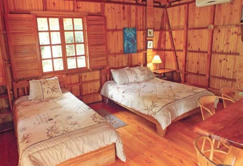 ホテル Ciudad Perdida Ecolodge