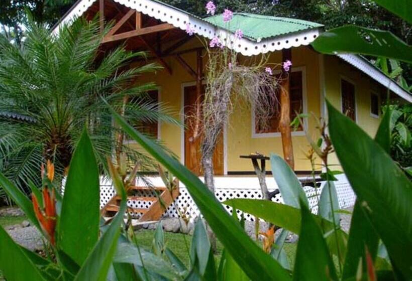 ホテル Ciudad Perdida Ecolodge