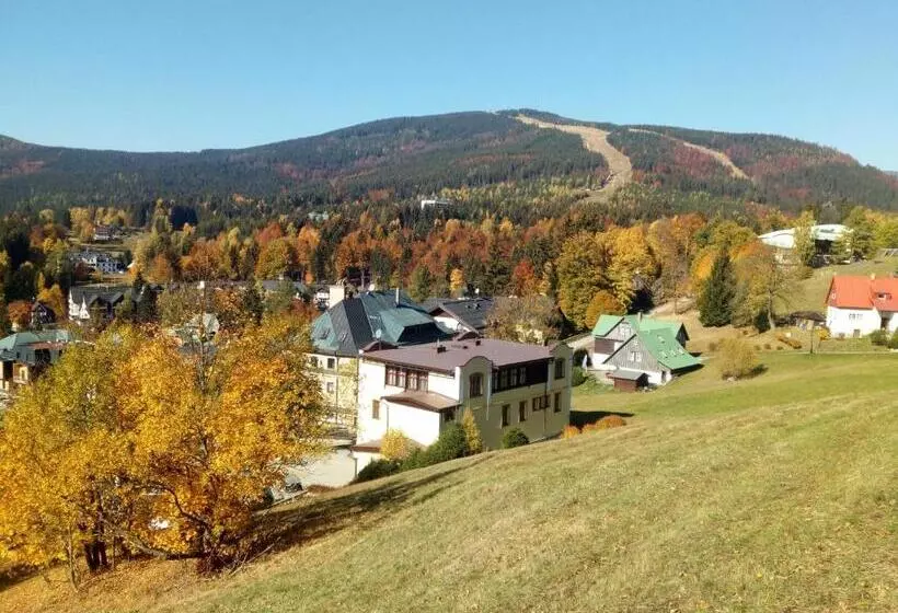 هتل Elisabeth Pension