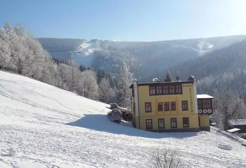 هتل Elisabeth Pension