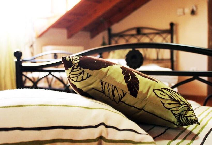 هتل Filyra Pension