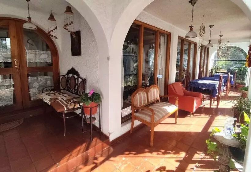 هتل La Casa De Tin Tin