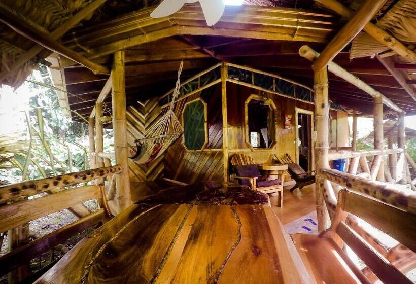 호텔 La Costa De Papito