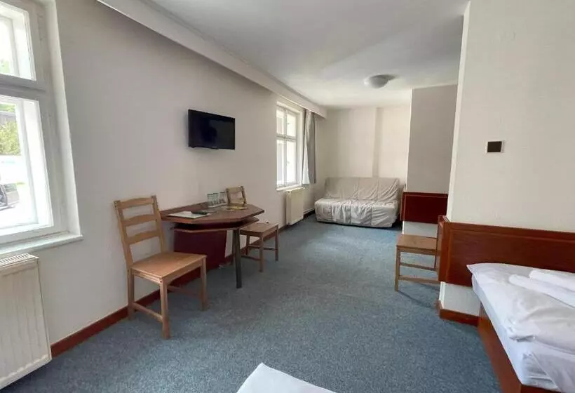 Hotel Lomnice