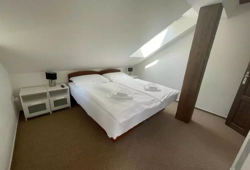 Hotel Lomnice