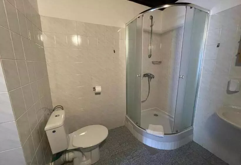 Hotel Lomnice