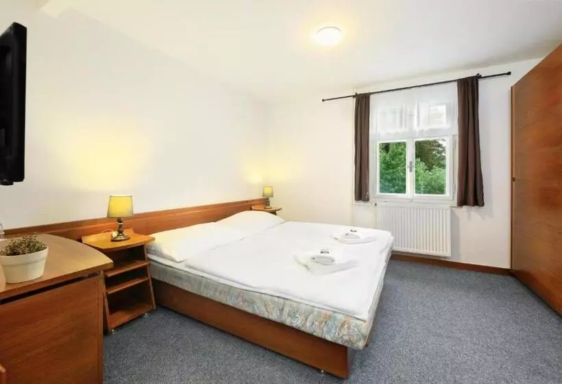 Hotel Lomnice