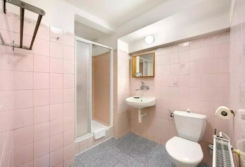 Hotel Lomnice
