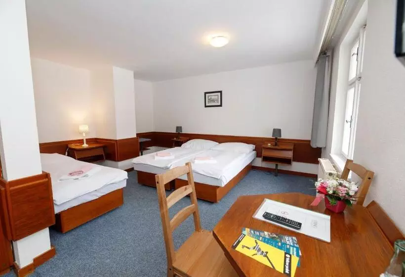 Hotel Lomnice