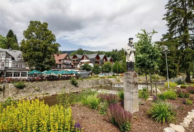 Hotel Lomnice