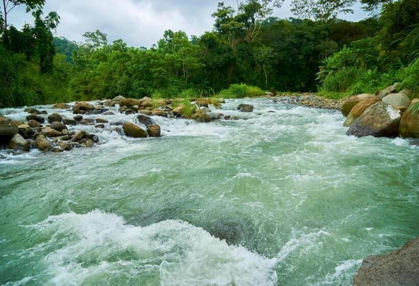 בית מלון כפרי Manoas