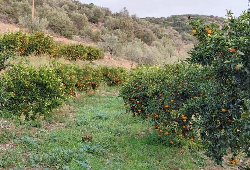 Perivoli Country Hotel & Retreat