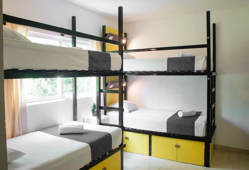 Che Playa Hostel & Bar Adults Only