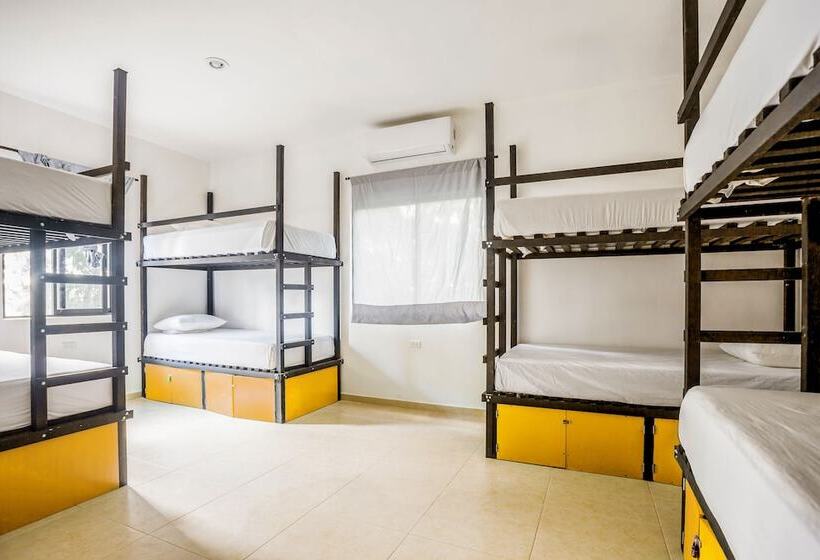 Che Playa Hostel & Bar Adults Only