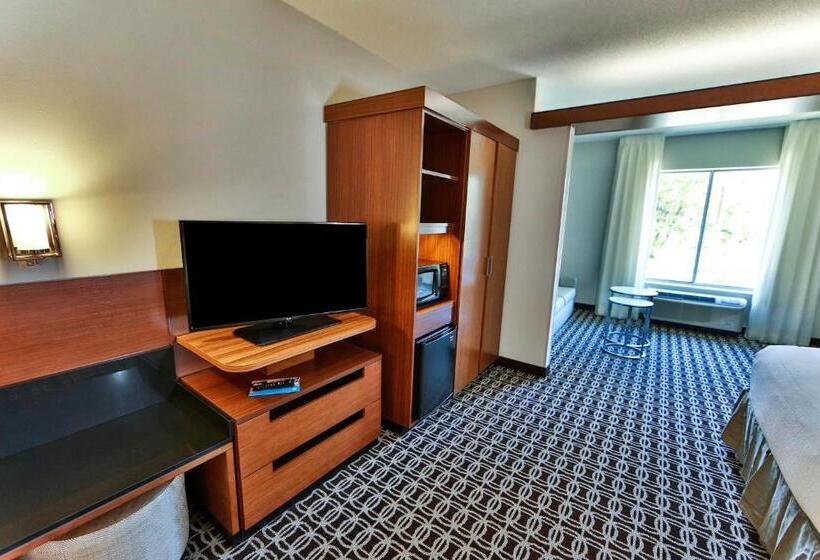 فندق Fairfield Inn & Suites By Marriott Savannah Midtown