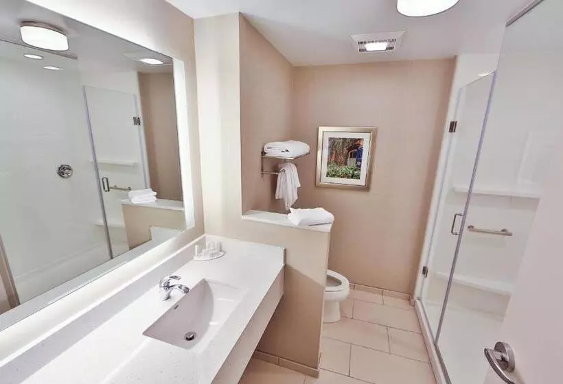 Hotelli Fairfield Inn & Suites By Marriott Savannah Midtown