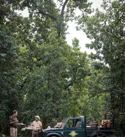 Hotelli Kings Lodge