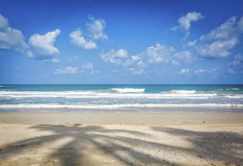 فندق Thompson Playa Del Carmen Beach House, By Hyatt