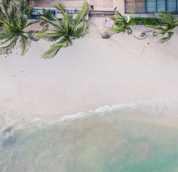 فندق Thompson Playa Del Carmen Beach House, By Hyatt