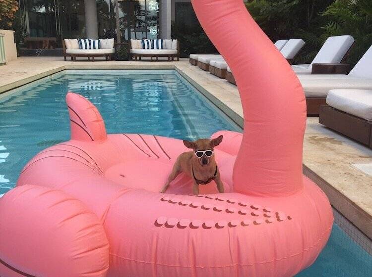 فندق Thompson Playa Del Carmen Beach House, By Hyatt