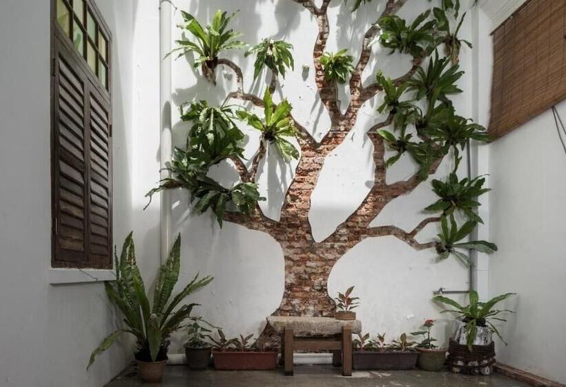 Rope Walk Guesthouse   Hostel