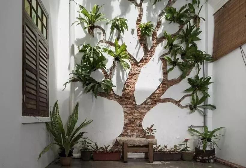 Rope Walk Guesthouse   Hostel