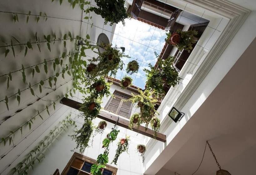 Rope Walk Guesthouse   Hostel