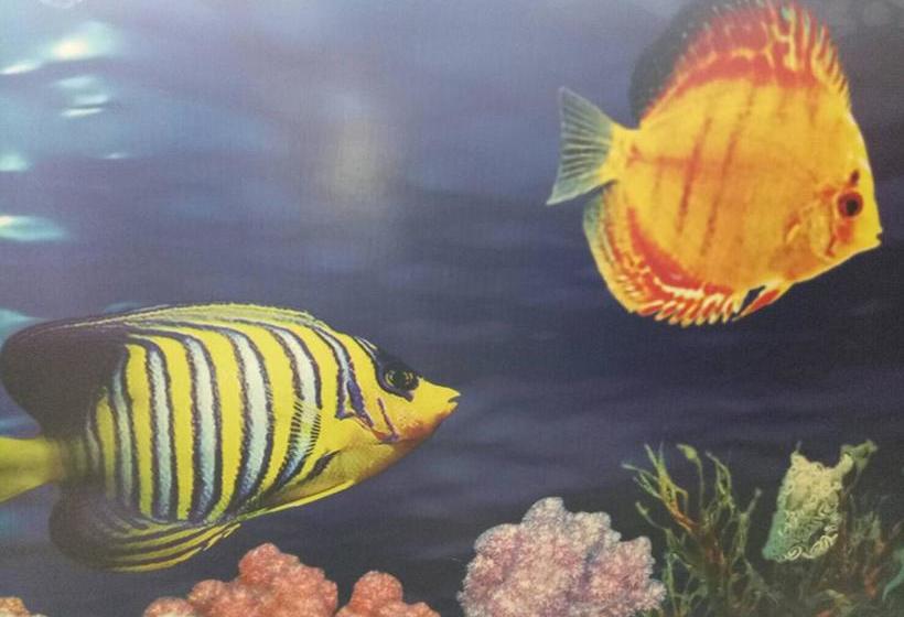 تختخواب و صبحانه Dolphin Castle