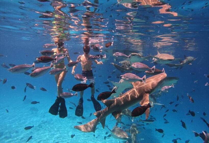 هتل Kaani Village & Spa