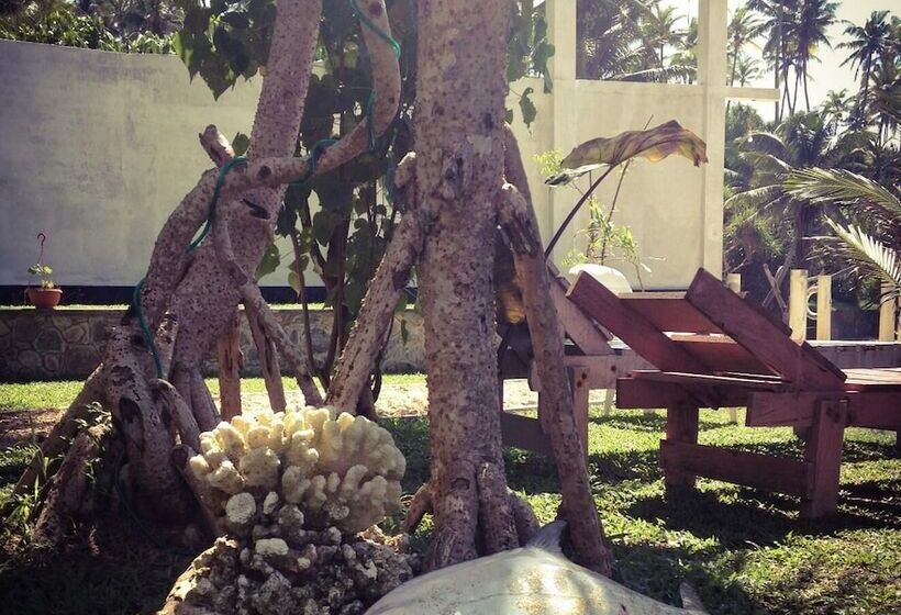 Hotel Mirissa Seastar